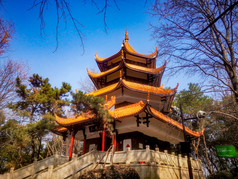 湖南省植物园摄影图