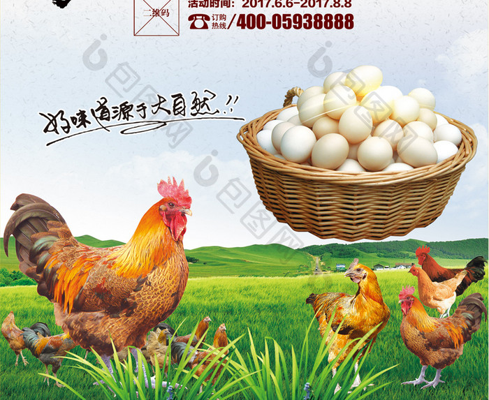 中国风农家土鸡海报设计