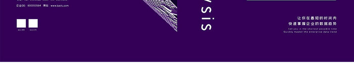 紫色清新企业数据分析介绍画册封面