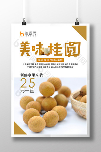 清新美味桂圆夏日促销美食海报模板图片