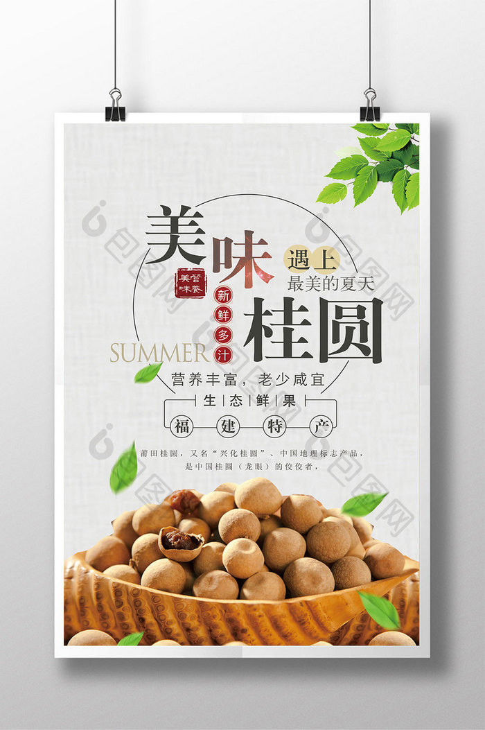 美味桂圆美食中国风海报
