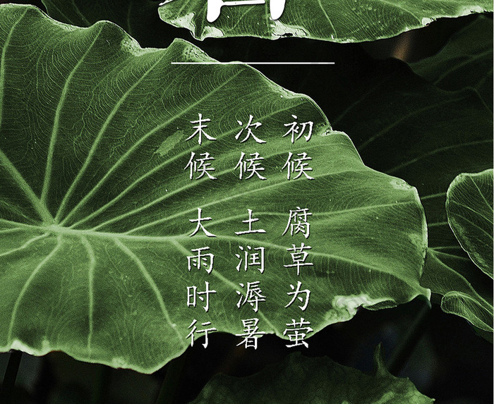 大暑24二十四节气传统中国风简约创意海报
