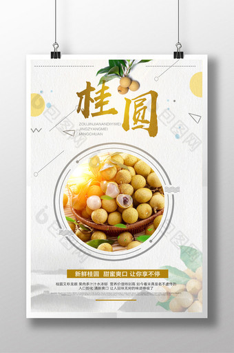 桂圆 宣传海报设计图片