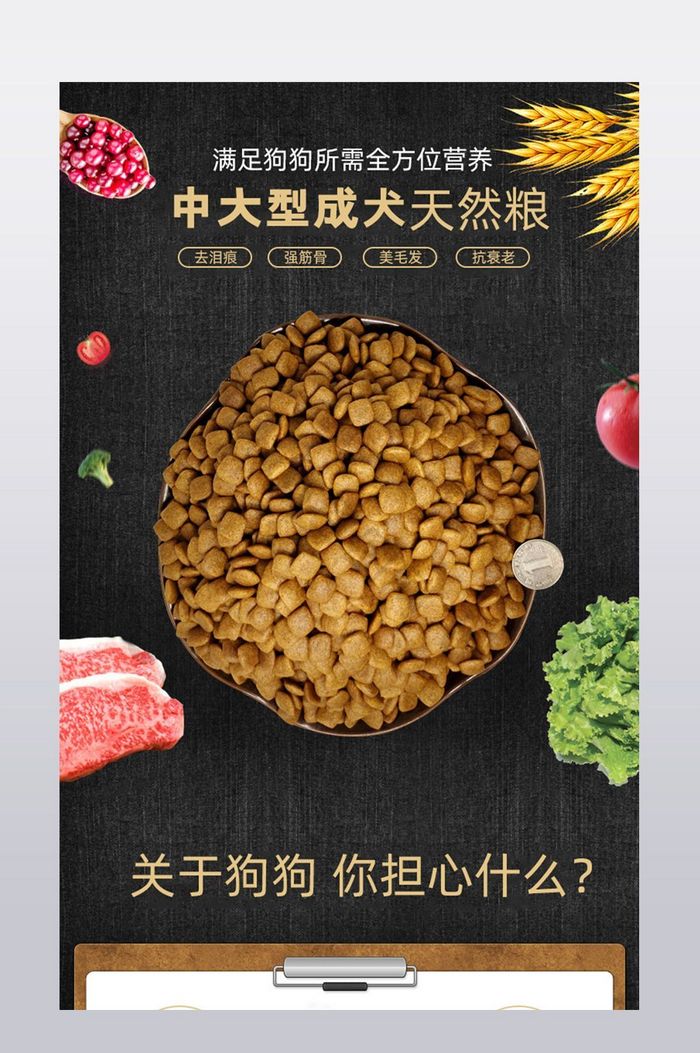 西式宠物食品狗粮猫粮宠物详情页psd