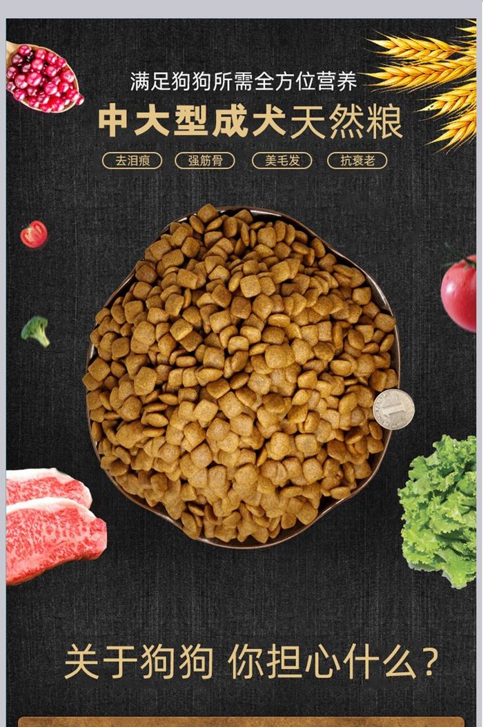 西式宠物食品狗粮猫粮宠物详情页psd