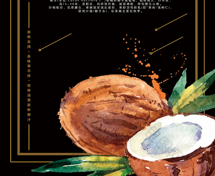 椰子果汁饮品海报