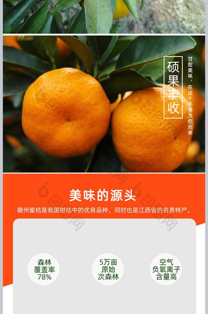 清新简洁蜜橘详情页模板