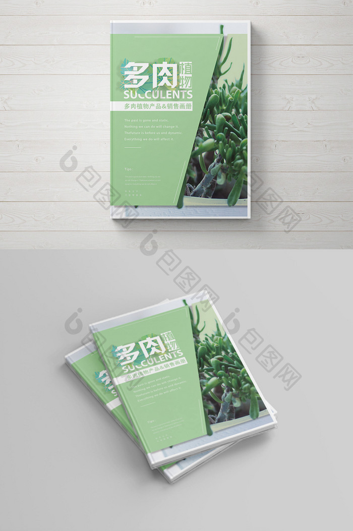 清新简约多肉植物画册封面设计