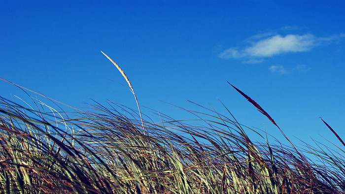 爆炸字幕音效风声