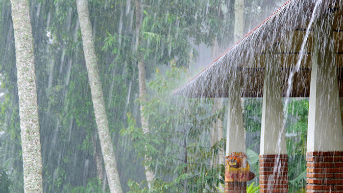 大雨的环境特效素材音