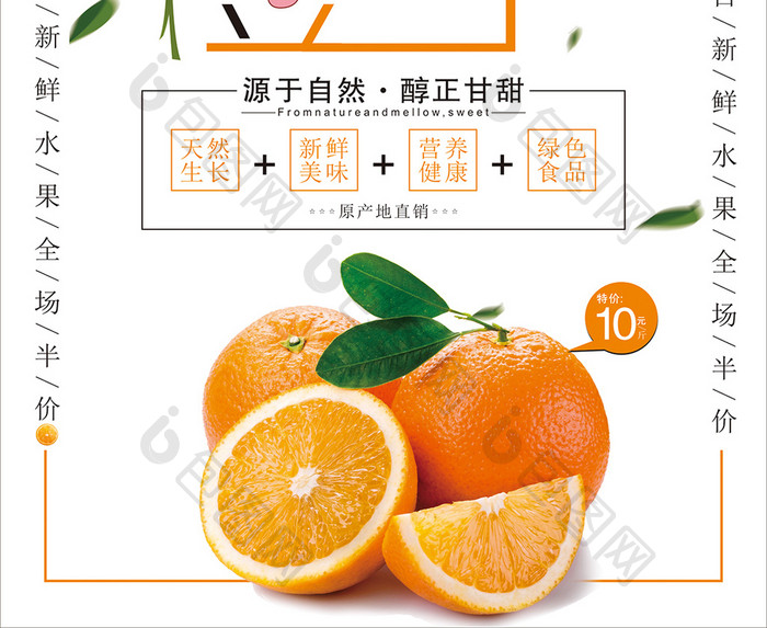 夏季橙子水果海报