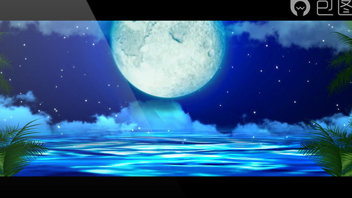 月色摩天轮海边视频