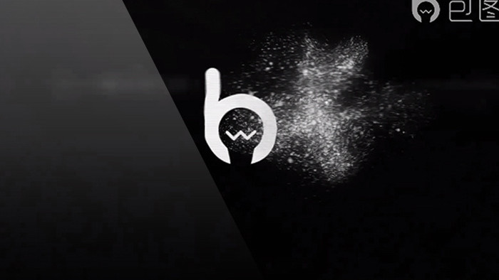 logo演绎  黑白闪光 宣传 视频素材