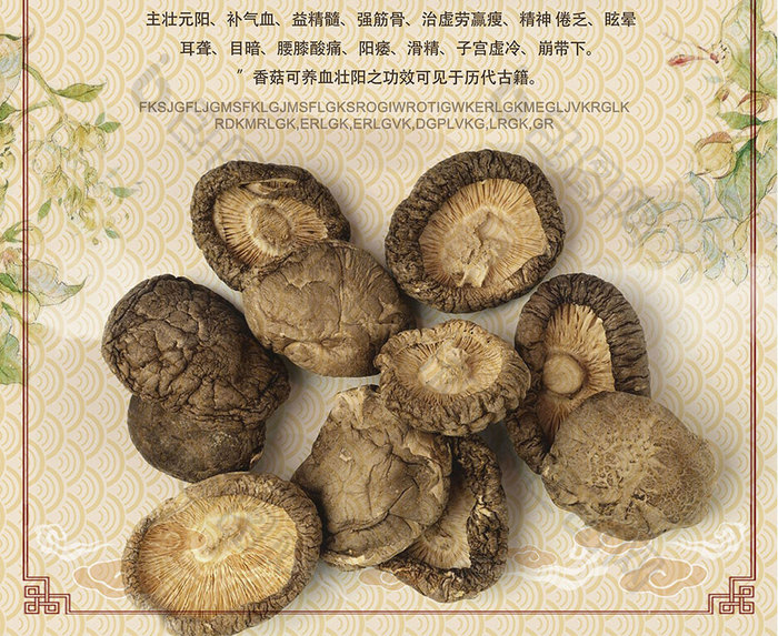 野生香菇菌菇补品美食中国风海报