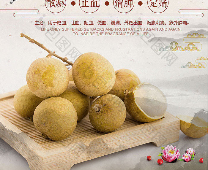 美食宣传桂圆龙眼中国风海报