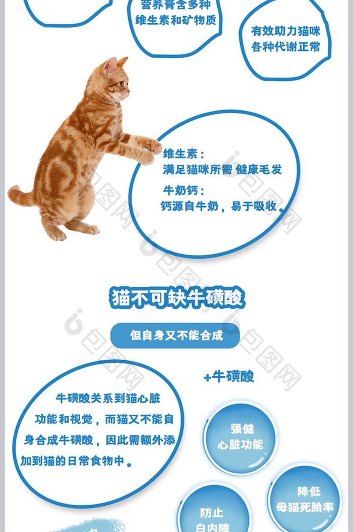 淘宝天猫蓝色风格手绘可爱清新宠物食品详情