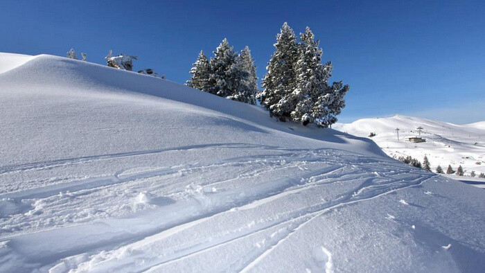 在薄薄雪地上奔跑的声音