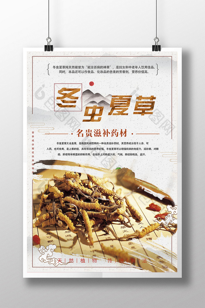 中国风冬虫夏草药材海报