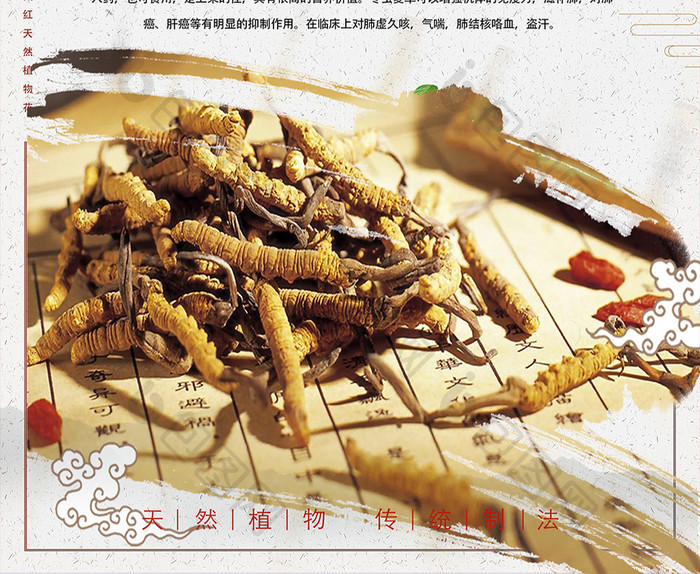 中国风冬虫夏草药材海报