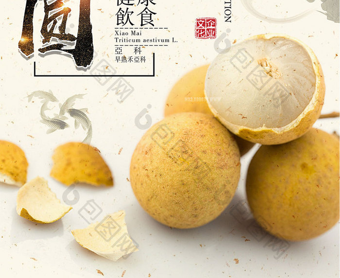 健康美食桂圆龙眼创意中国风海报