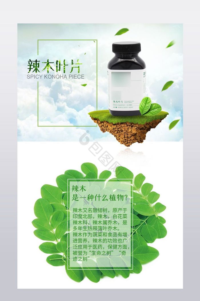 干净辣木叶片保健食品天猫淘宝详情页图片