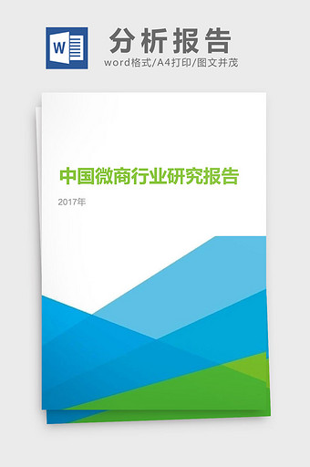 2017年中国微商行业研究分析报告图片