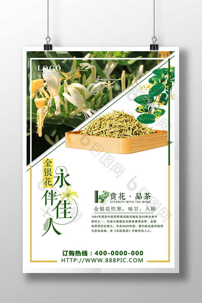 金银花茶金银花图片金银花海报图片