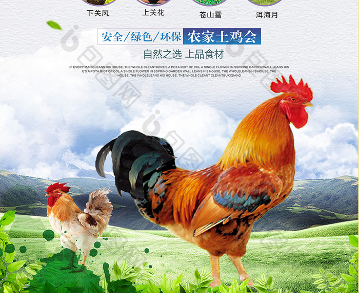 农家土鸡绿色食品创意海报