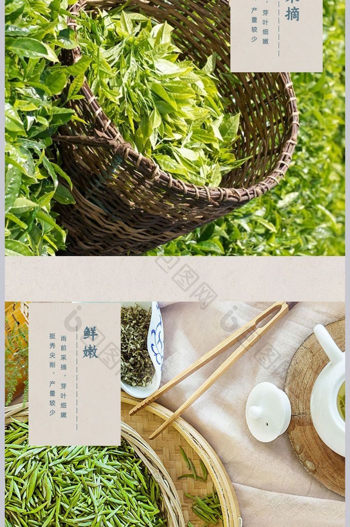 淘宝碧螺春茶叶详情页设计