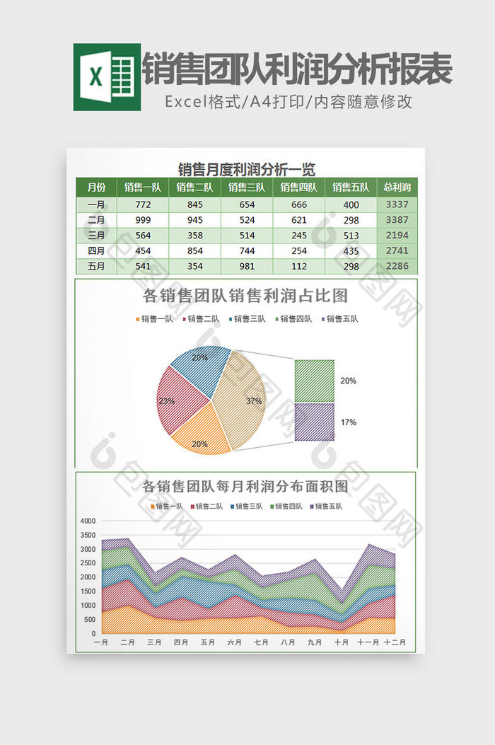 实用团队每月利润分析报表excel模板