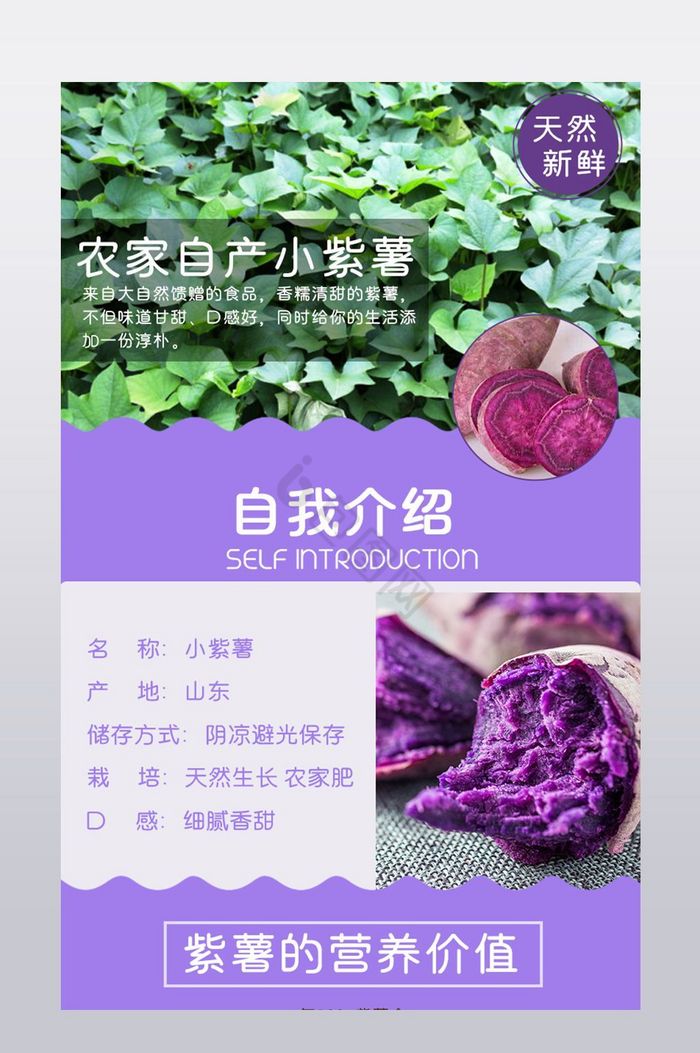 紫薯农家自山小紫薯详情页图片