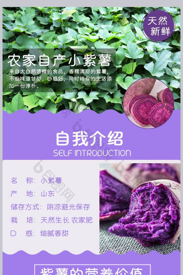 紫薯农家自山小紫薯详情页