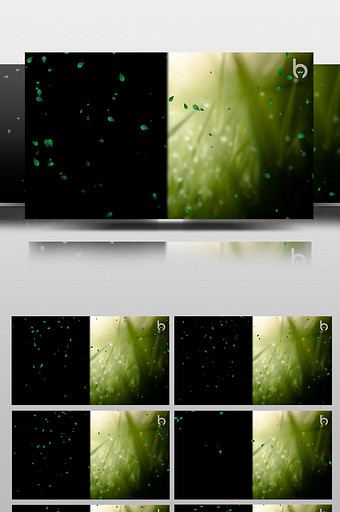 后期抠像带透明通道环保绿叶飘落装饰视频图片