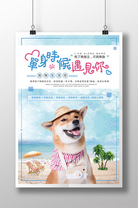 夏季清爽海滩风格宠物生活馆创意海报