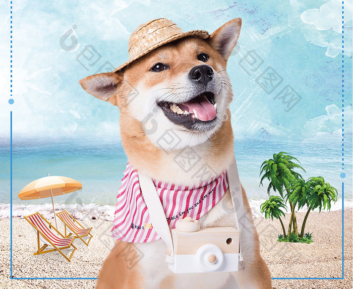 夏季清爽海滩风格宠物生活馆创意海报