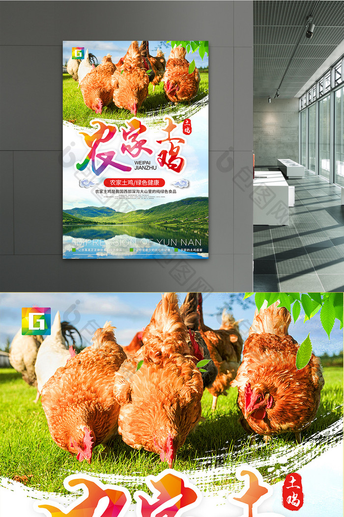 绿色天然农家土鸡宣传促销海报