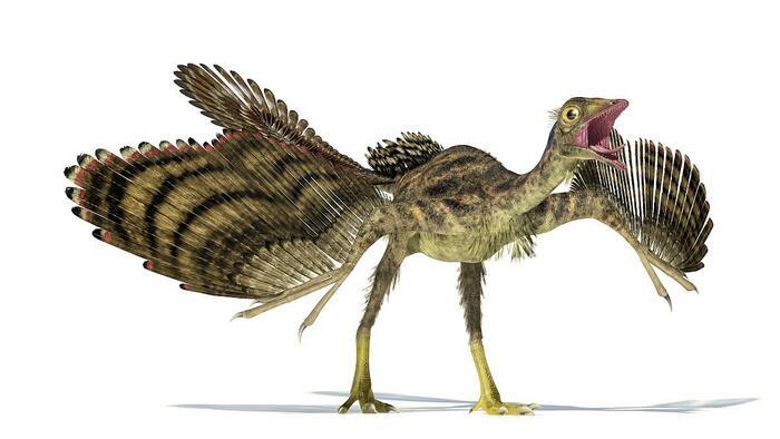 恐龙低声咆哮音效模板免费下载_mp3图片设计素材_【包图网】