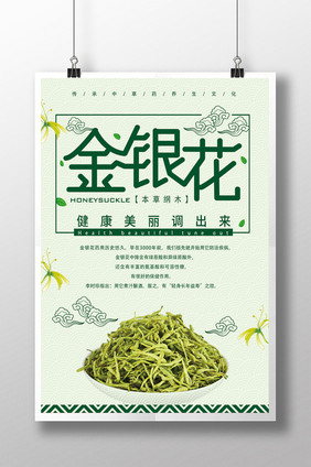 简洁金银花中草药海报