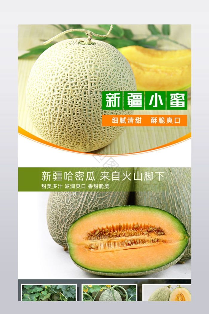 【少子巨宝西瓜】图片