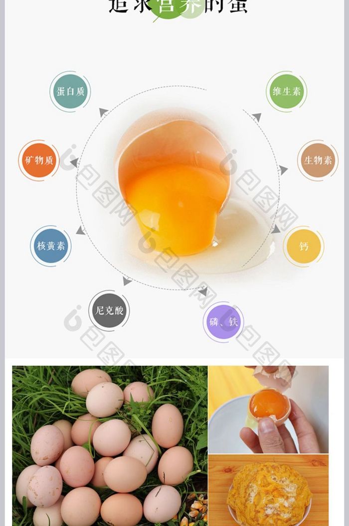 农产品土鸡蛋食品详情