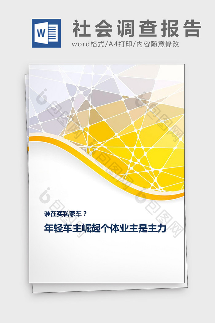 私家车主构成调研分析报告word模板