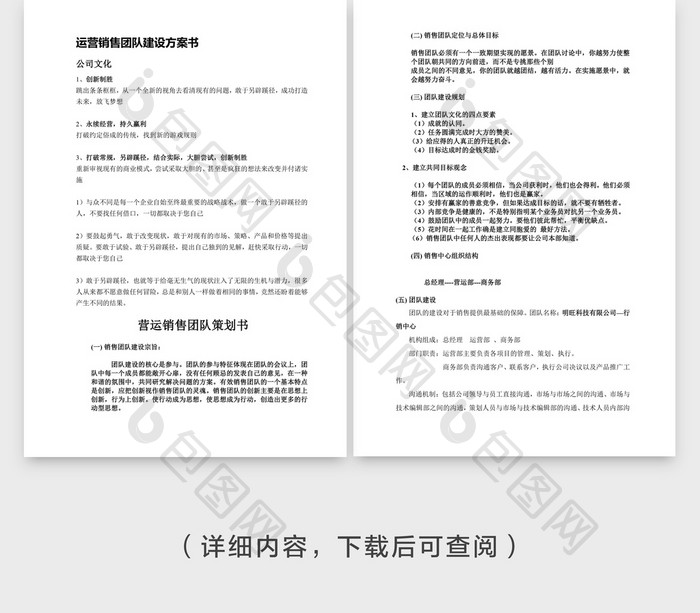 人事管理运营销售团队建设方案word文档