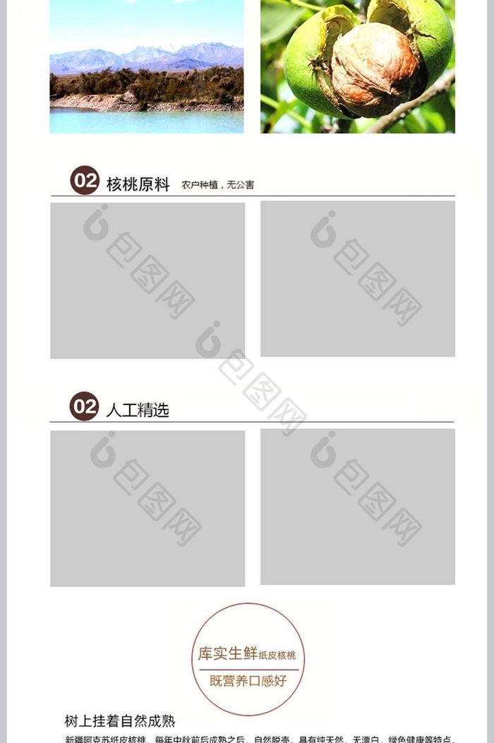 小清新简约唯美淘宝核桃详情页模板PSD