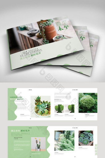 绿色清新植物多肉产品画册图片