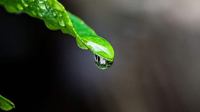 雨水滴落在山洞的声音