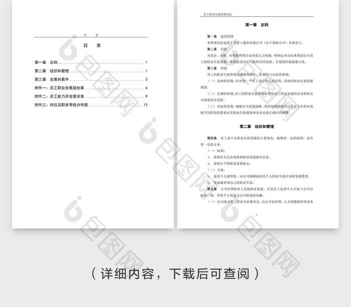 人事管理职业生涯管理办法Word文档