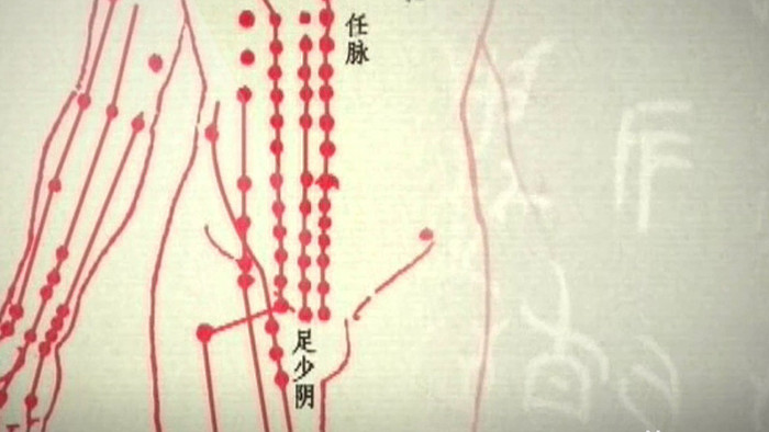 中医养生人体经脉图视频素材