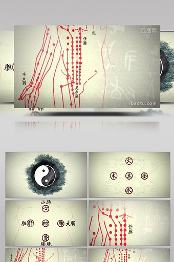 中医养生人体经脉图视频素材图片
