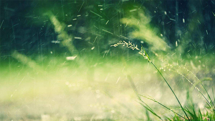 磅礴大雨朦胧响嘶嘶沙沙