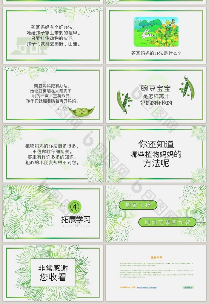 植物妈妈有办法公开课课件PPT模板